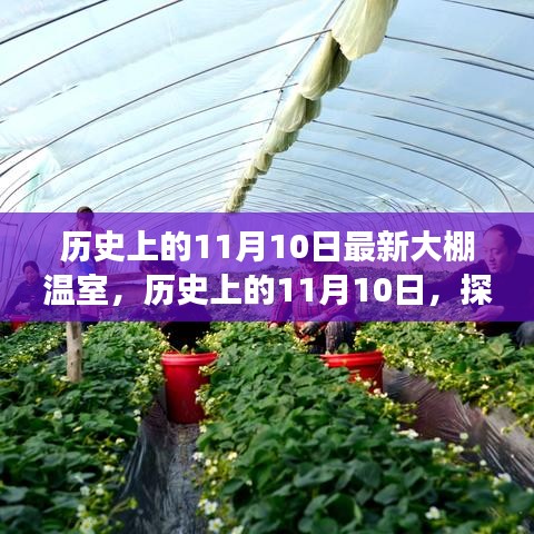 关于我们 第278页