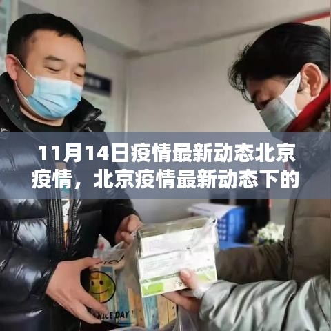 关于我们 第261页