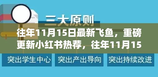 往年11月15日最新飞鱼揭秘与小红书热推独家报道！