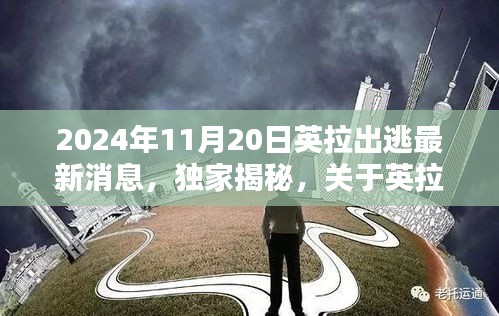 关于我们 第234页