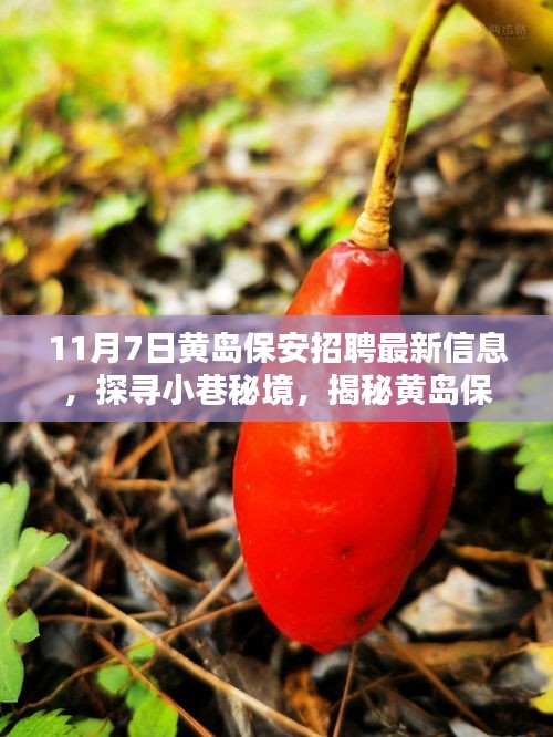 第1903页
