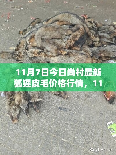 联系我们 第316页