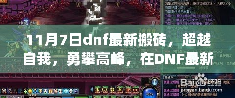 联系我们 第313页