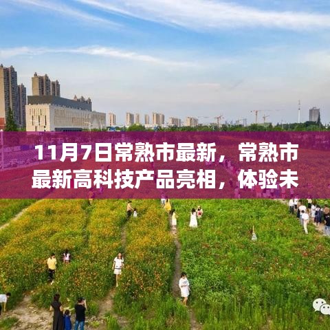营销网络 第312页