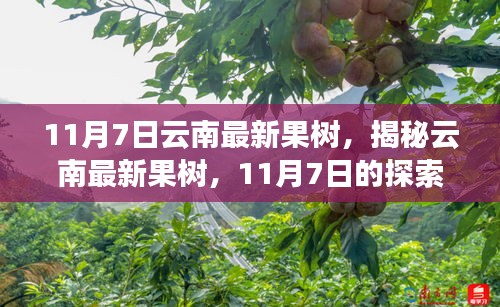营销网络 第311页