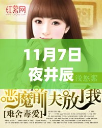 精品展示 第312页