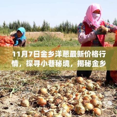 在线留言 第306页