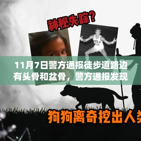 第1801页