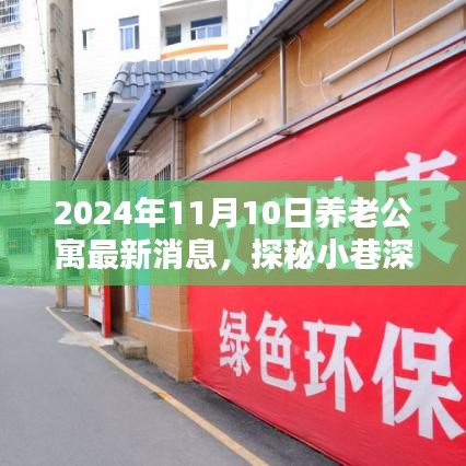 探秘养老公寓新动态，揭秘温馨居所最新消息，带你走进养老公寓的未来世界（2024年11月10日更新）