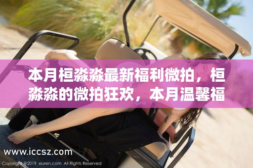 第1764页