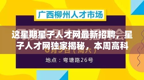 精品展示 第288页