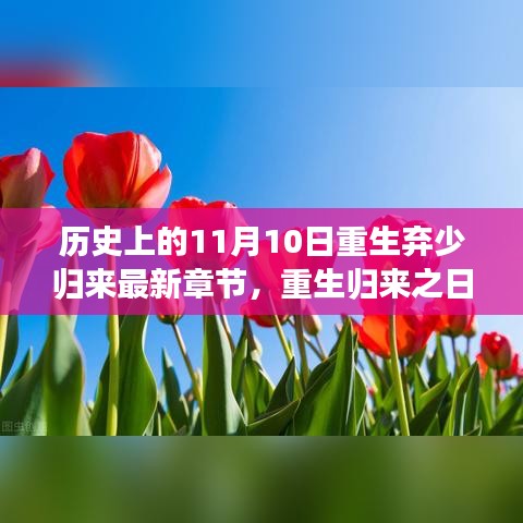 联系我们 第283页