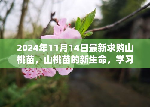 精品展示 第268页