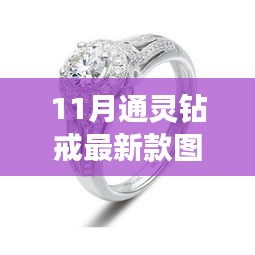 联系我们 第241页