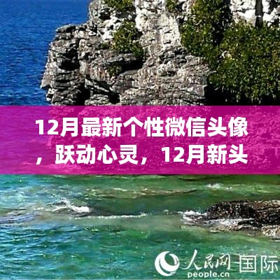 营销网络 第210页