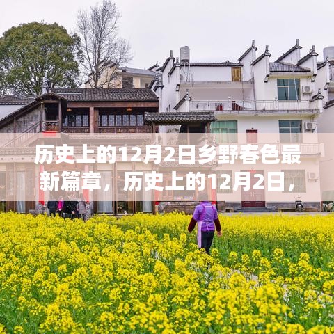 联系我们 第192页