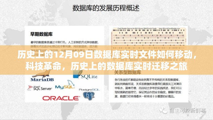 新闻中心 第156页