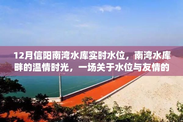 营销网络 第154页