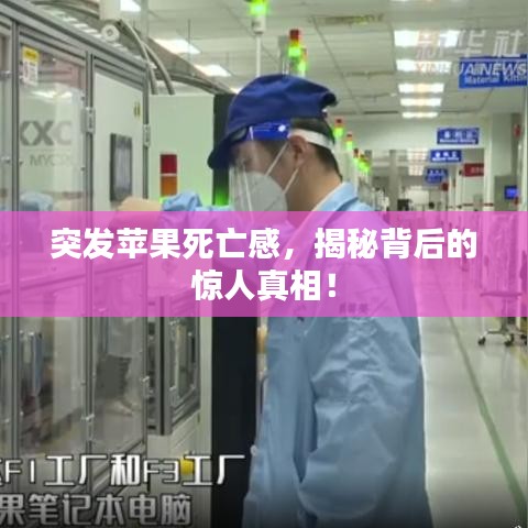新闻中心 第114页