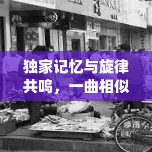 联系我们 第106页