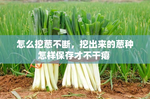 联系我们 第102页