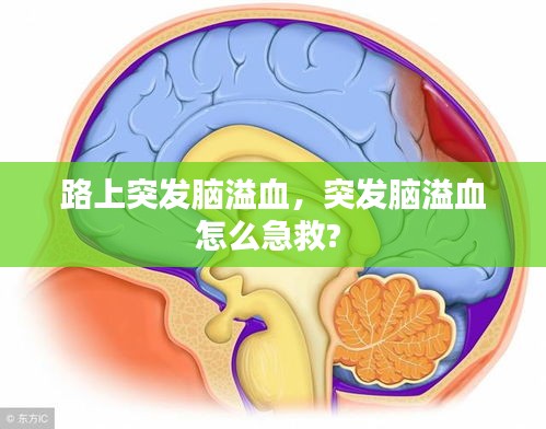 联系我们 第101页