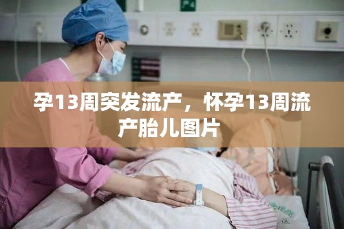 长命富贵 第2页