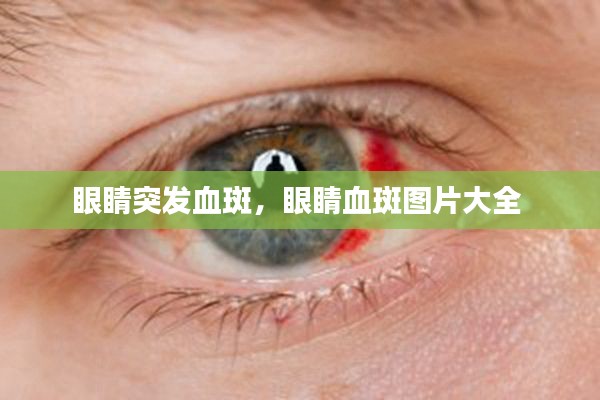 联系我们 第94页