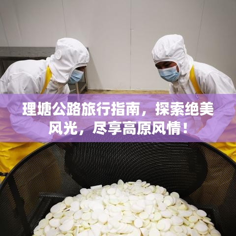 关于我们 第91页