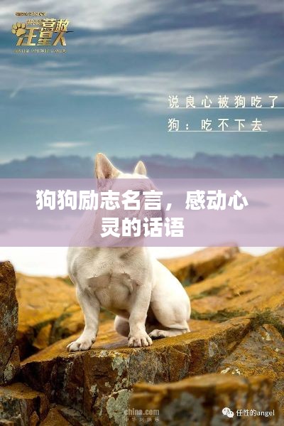 营销网络 第32页