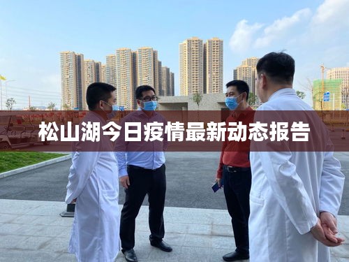 新闻中心 第19页