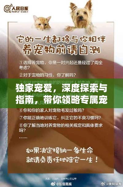 新闻中心 第13页