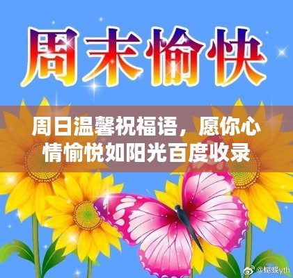 见缝就钻