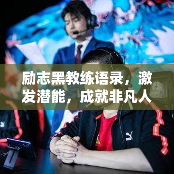 联系我们 第12页