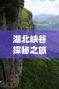 在线留言 第4页