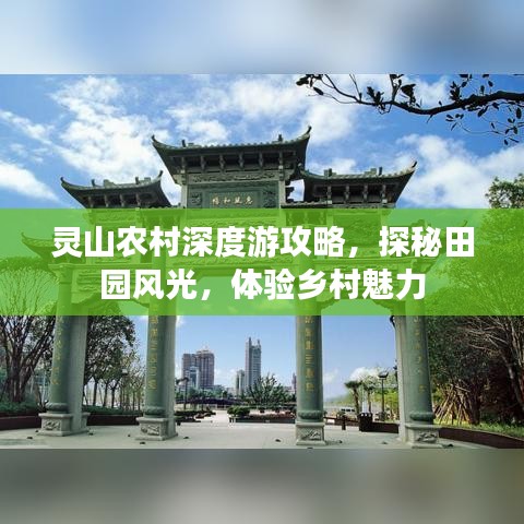 联系我们 第3页