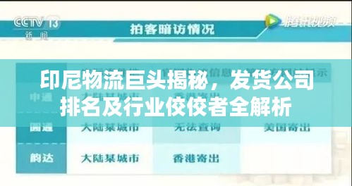 羊肠鸟道